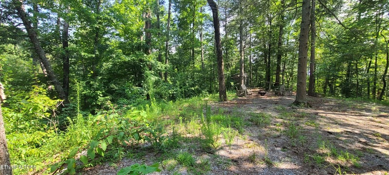 1011 Carrs Creek Rd, Townsend, TN 37882