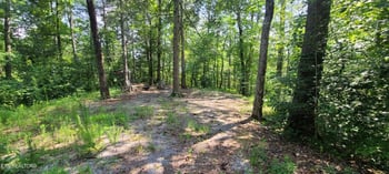 1011 Carrs Creek Rd, Townsend, TN 37882