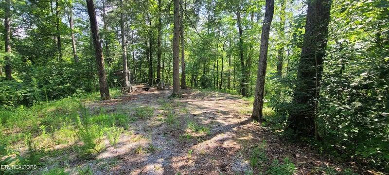 1011 Carrs Creek Rd, Townsend, TN 37882