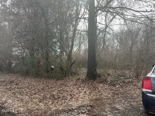 1013 Level Dr, Maryville, TN 37801