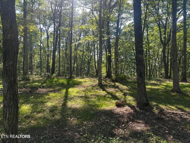 1013 Running Deer, Crab Orchard, TN 37723