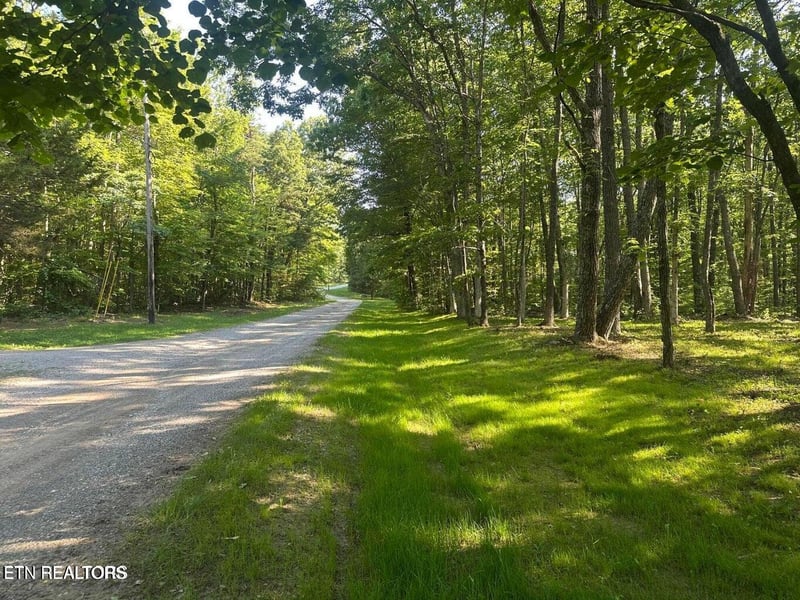 1013 Running Deer, Crab Orchard, TN 37723