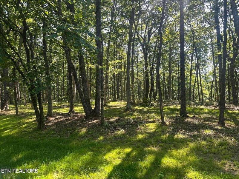 1013 Running Deer, Crab Orchard, TN 37723