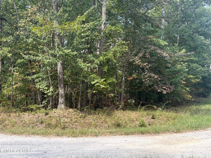 1014 Yucatan Ln, Crossville, TN 38572