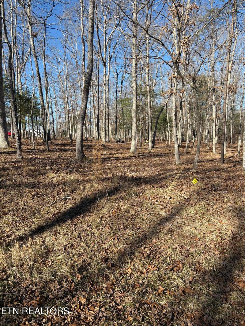1015 Gray Eagle Dr, Crossville, TN 38572