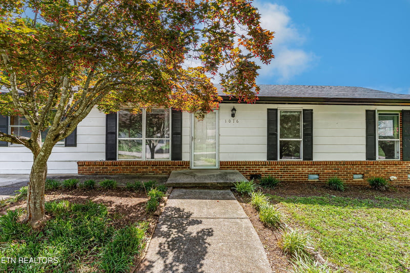 1016 Ruskin Dr, Knoxville, TN 37923