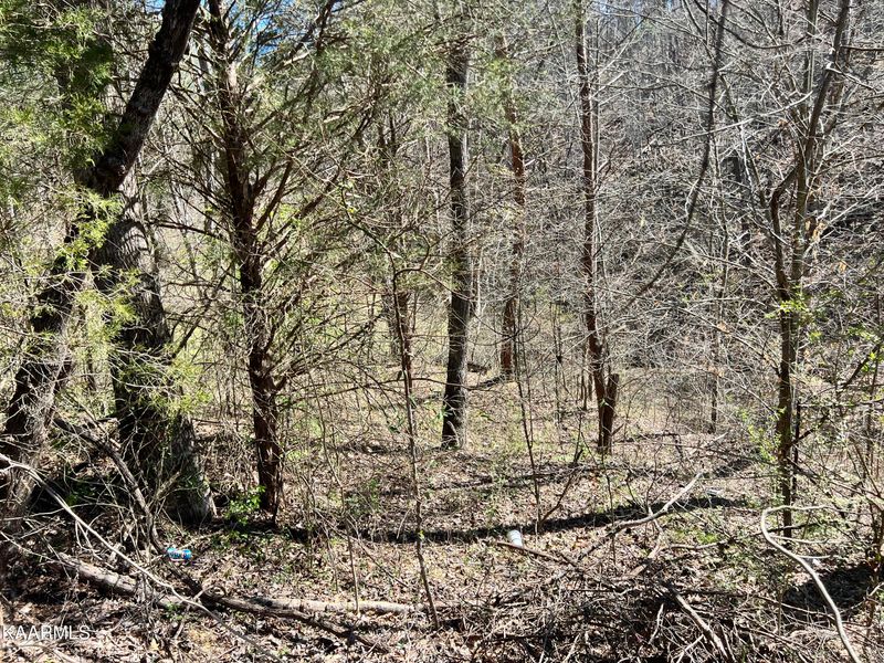1017 Goose Gap Rd, Sevierville, TN 37876