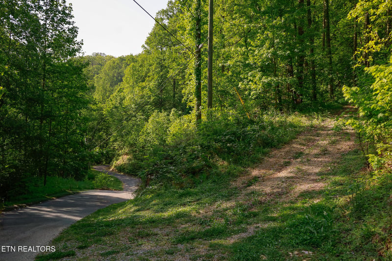 10171035 Big Buck Tr, Townsend, TN 37882