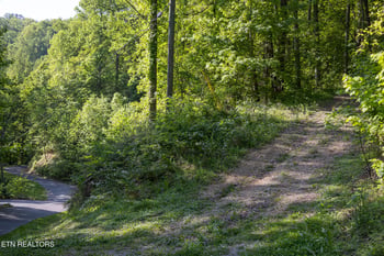 10171035 Big Buck Tr, Townsend, TN 37882