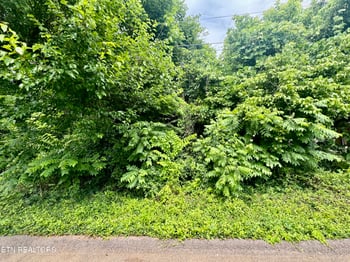1018 Cedarwood St, Knoxville, TN 37914