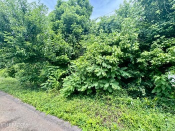 1018 Cedarwood St, Knoxville, TN 37914