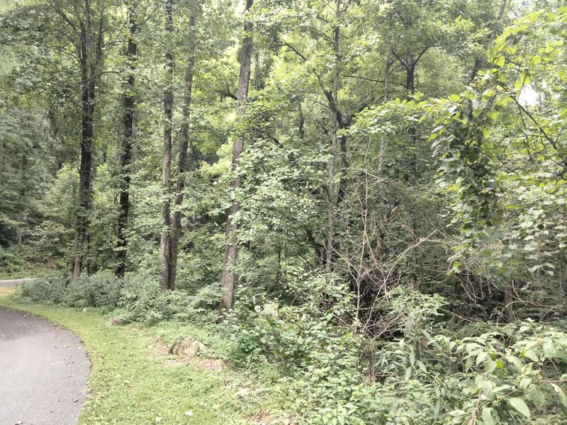 1020 Big Buck Tc, Townsend, TN 37882