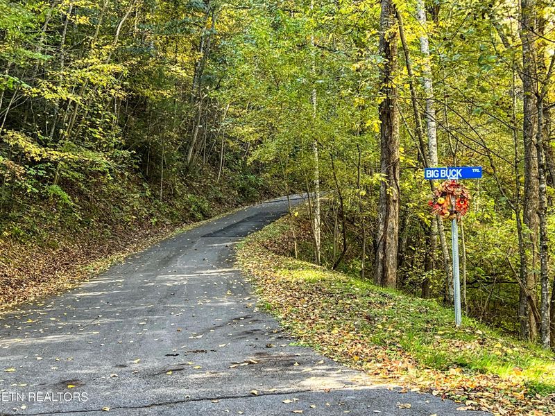 1020 Big Buck Tr, Townsend, TN 37882