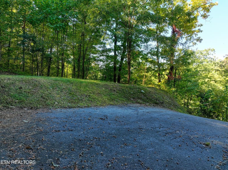 1020 Pine Top Ln, Gatlinburg, TN 37738