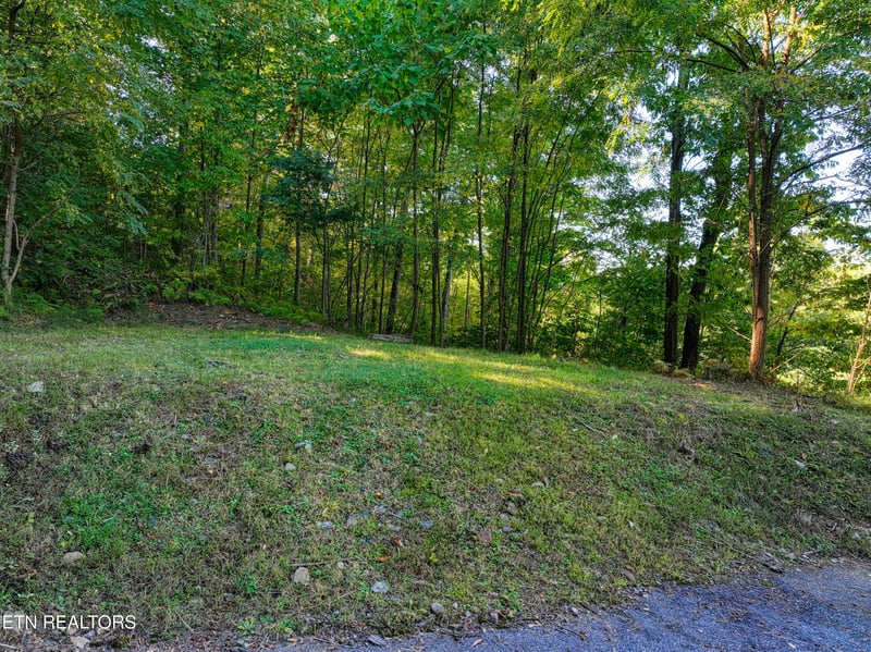 1020 Pine Top Ln, Gatlinburg, TN 37738