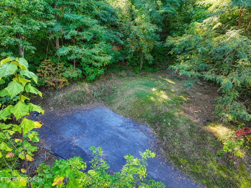 1020 Pine Top Ln, Gatlinburg, TN 37738
