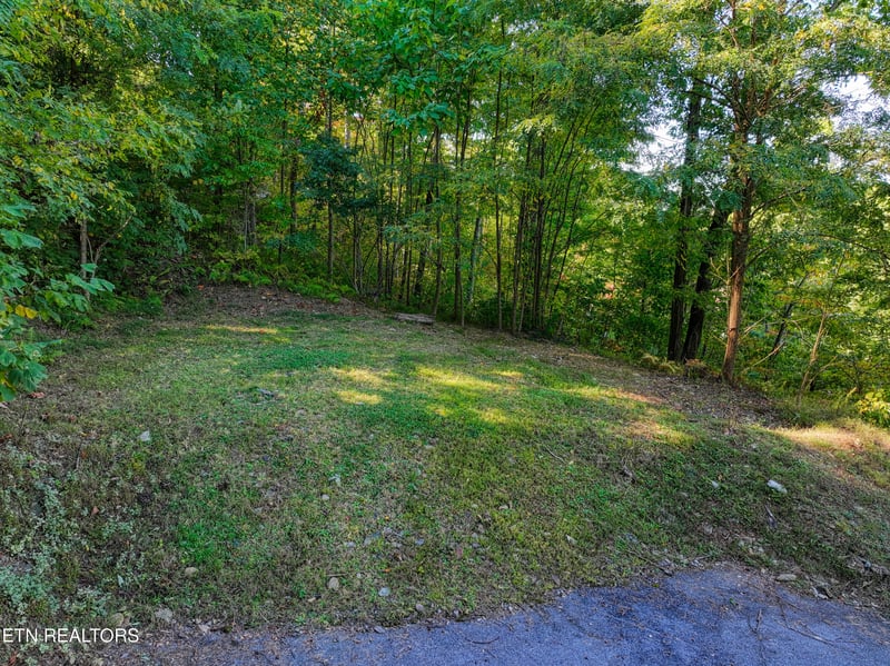 1020 Pine Top Ln, Gatlinburg, TN 37738