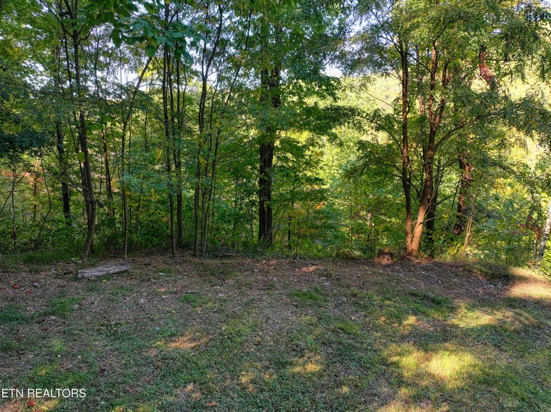 1020 Pine Top Ln, Gatlinburg, TN 37738