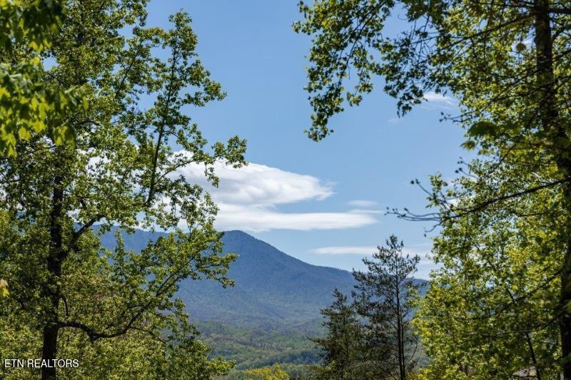 1027 Condo Dr, Gatlinburg, TN 37738