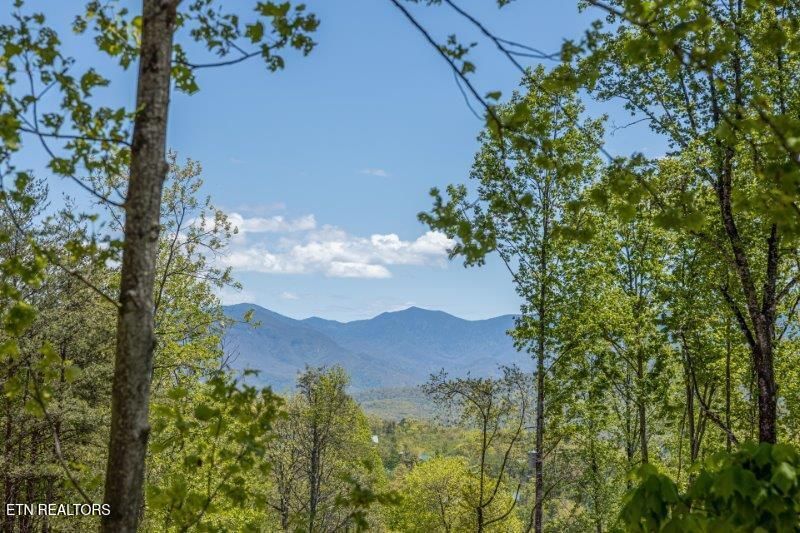1027 Condo Dr, Gatlinburg, TN 37738