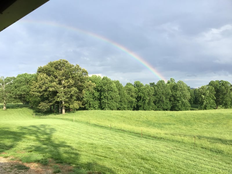1028 Fairview Rd, Tellico Plains, TN 37385
