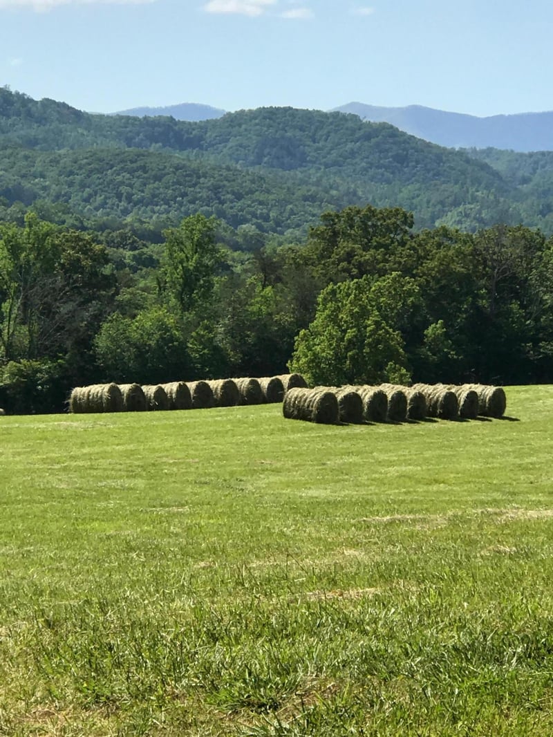 1028 Fairview Rd, Tellico Plains, TN 37385