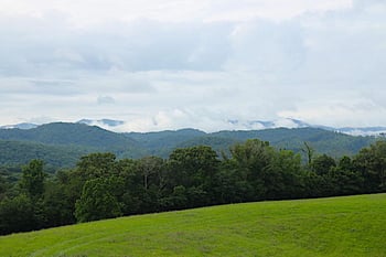 1028 Fairview Rd, Tellico Plains, TN 37385