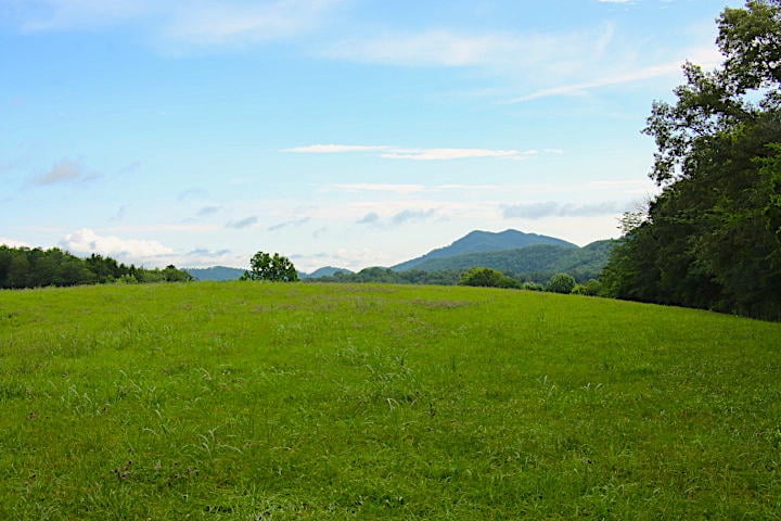 1028 Fairview Rd, Tellico Plains, TN 37385