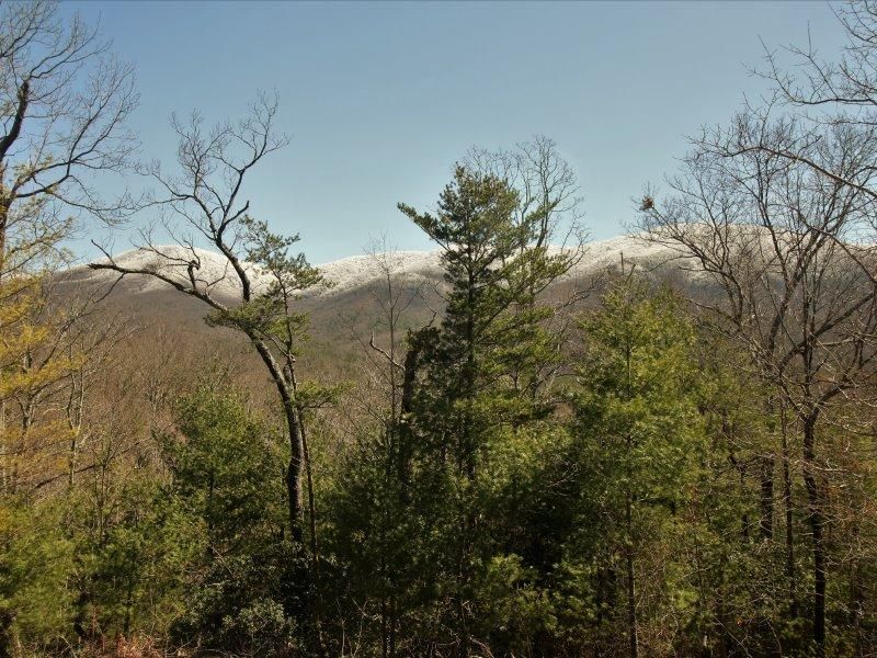 1029 Smithfield Rd, Tellico Plains, TN 37385