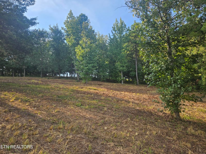 103 - 105 Docks Of The Bay Dr, Rockwood, TN 37854