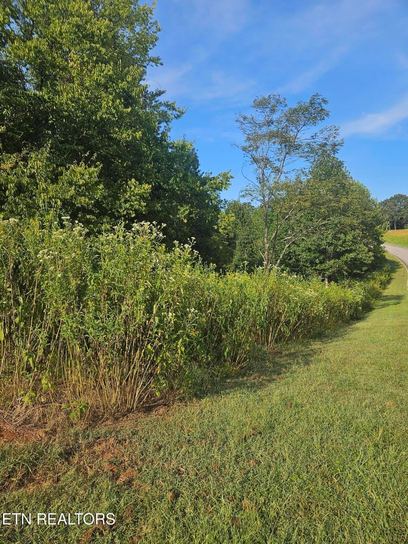 103 - 105 Docks Of The Bay Dr, Rockwood, TN 37854