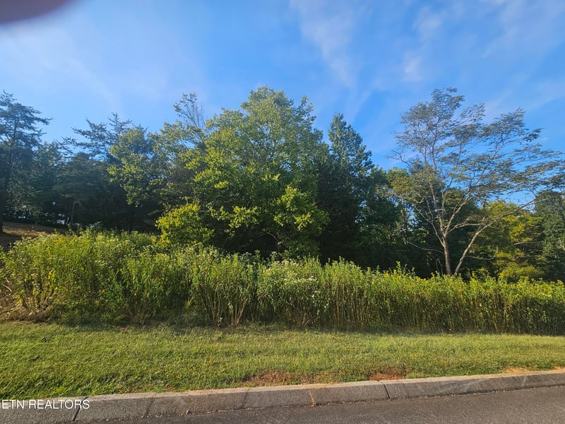 103 - 105 Docks Of The Bay Dr, Rockwood, TN 37854