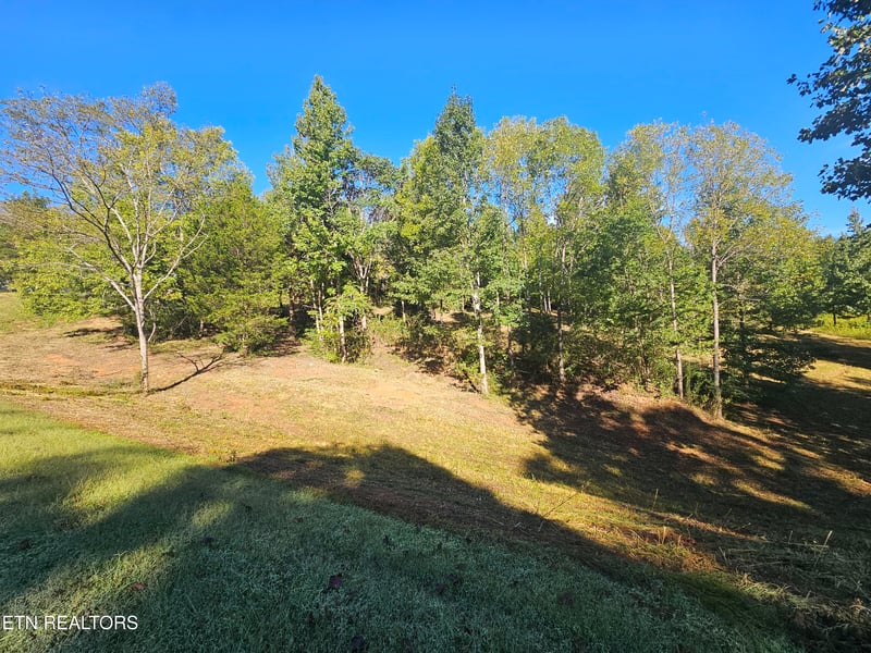 103 - 105 Docks Of The Bay Dr, Rockwood, TN 37854