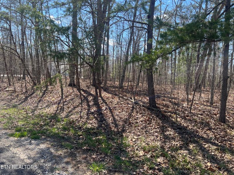 103 Amherst Dr, Fairfield Glade, TN 38558