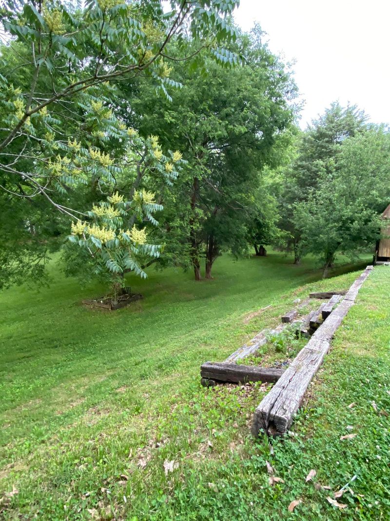 103 Azalea St, Sweetwater, TN 37874