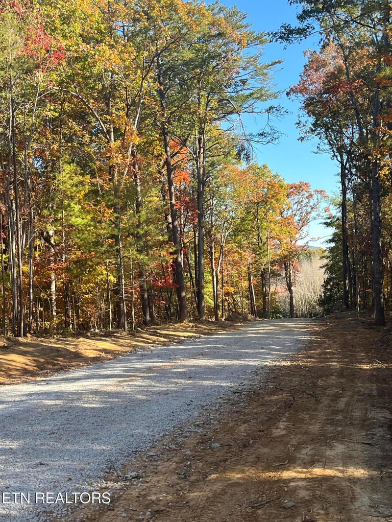 103 Cherokee Pa, Tellico Plains, TN 37385