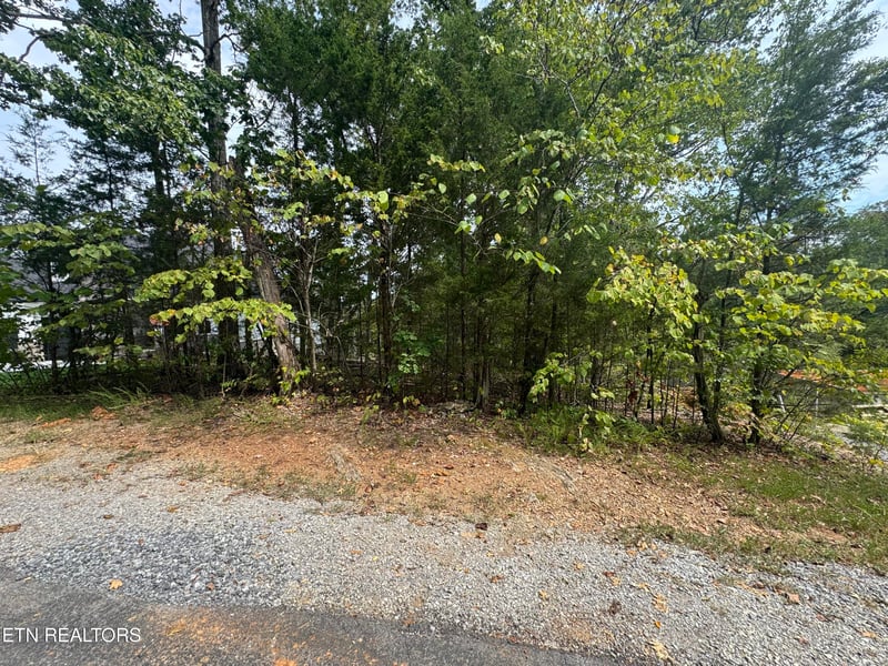 103 Odali Ln, Loudon, TN 37774