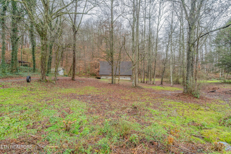 103 Rockhouse Ln, Briceville, TN 37710