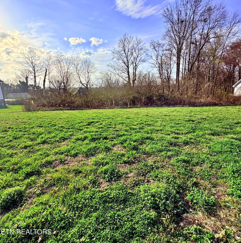103 Shadows Lawn Dr, Athens, TN 37303