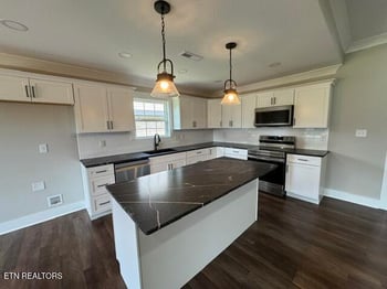 1030 Pathways Dr, Seymour, TN 37865