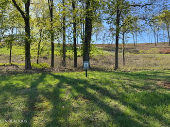 1031 Black Cove Ln, Loudon, TN 37774