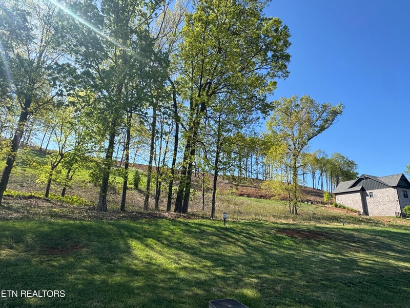 1031 Black Cove Ln, Loudon, TN 37774