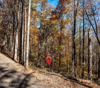 1032 Deep Hollow Rd, Gatlinburg, TN 37738