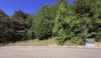1033 Crown Ridge Ln, Powell, TN 37849