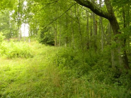 1033 Sheppard Rd, Oneida, TN 37841