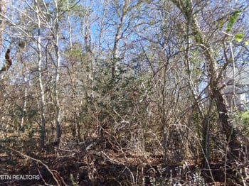 1037 Goti Dr, Crossville, TN 38572