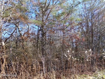 1037 Goti Dr, Crossville, TN 38572