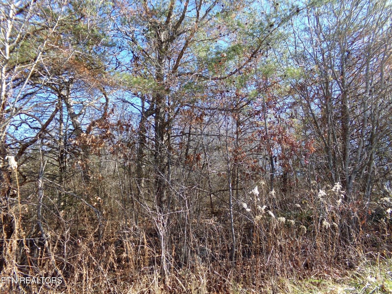 1037 Goti Dr, Crossville, TN 38572