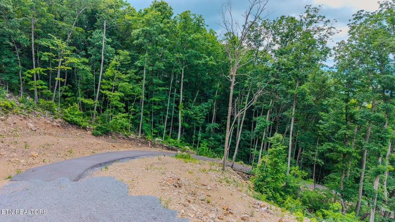 1038 Clingmans Vw, Sevierville, TN 37876