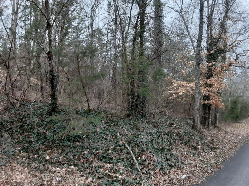 104 ac Alex Bales Rd, Kodak, TN 37764